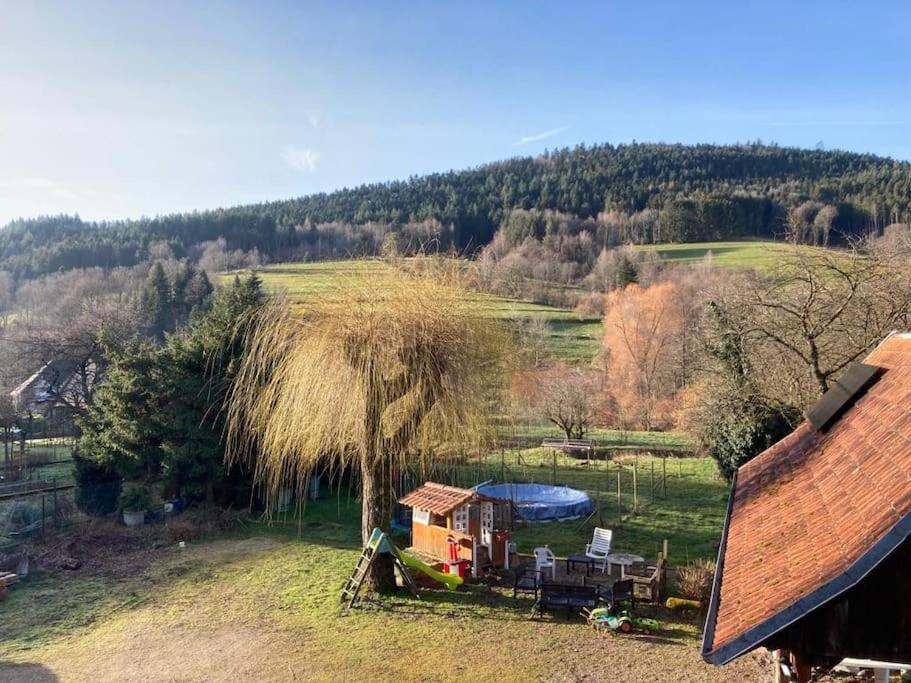 Logement Chaleureux, Vallee De Ville Steige Extérieur photo