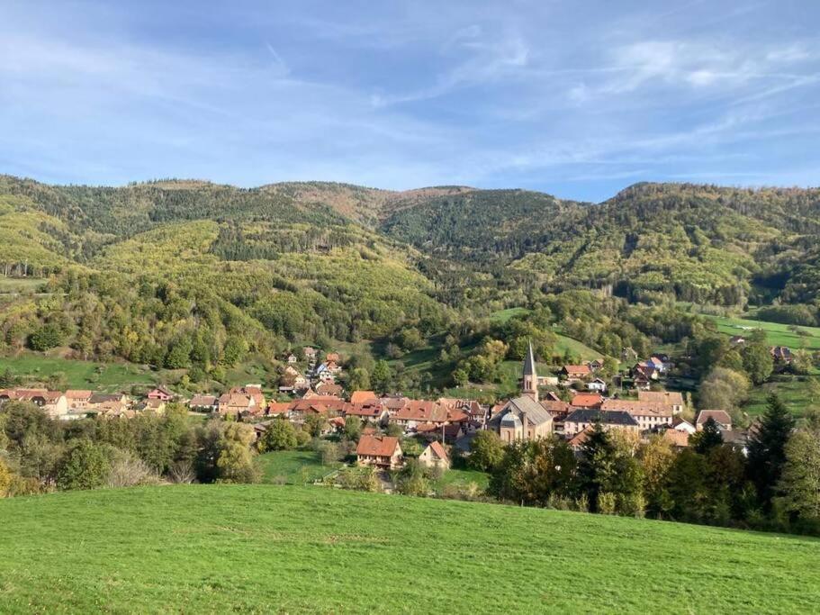 Logement Chaleureux, Vallee De Ville Steige Extérieur photo